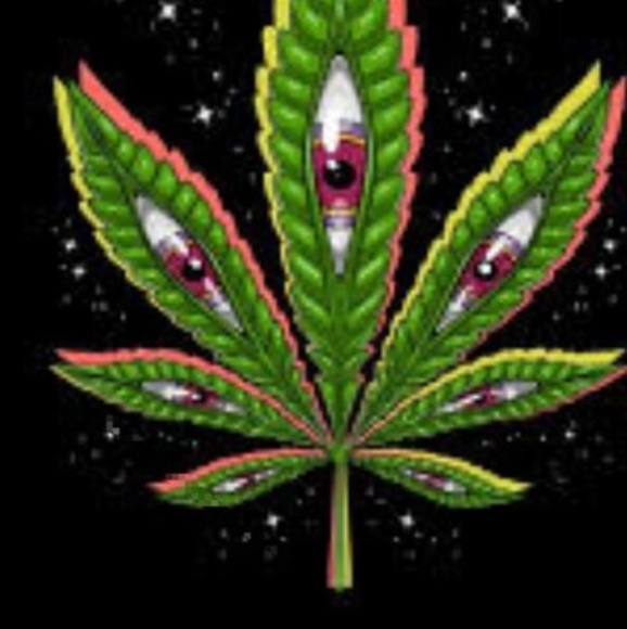 Meet your Posher, Andrew - Picture 1 of 1